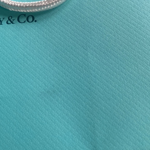 TIFFANY & CO. (2) Shopping bags! - Picture 5 of 6